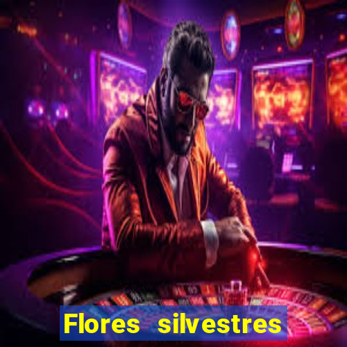 Flores silvestres brasileiras 25